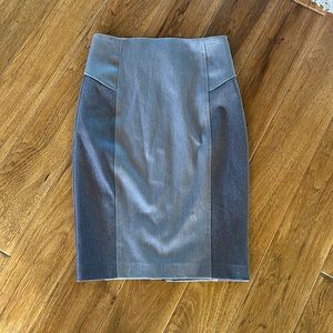 Express pencil skirt with long zipper in back
